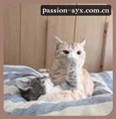 陈逸飞