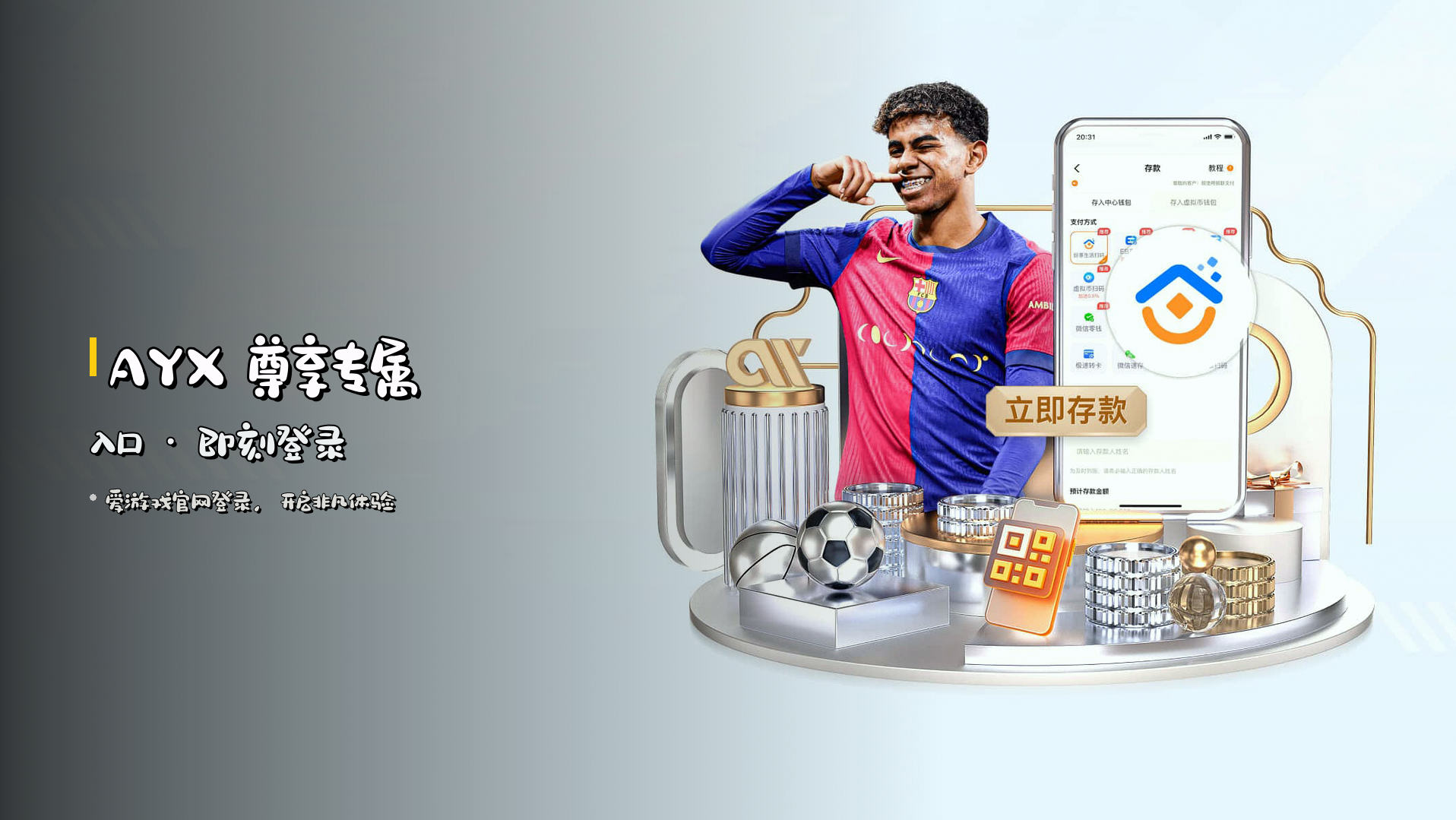 AYX 尊享专属入口 · 即刻登录